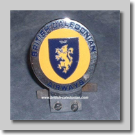 Badge (17)